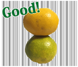 Surreal orange sticker #13539685