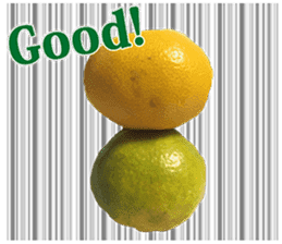 Surreal orange sticker #13539685