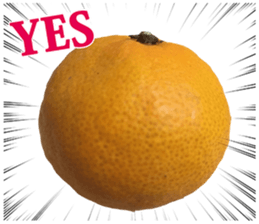 Surreal orange sticker #13539686