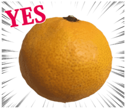 Surreal orange sticker #13539686