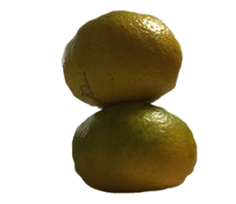 Surreal orange sticker #13539690