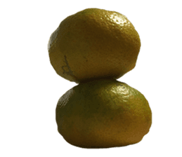 Surreal orange sticker #13539690