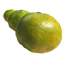 Surreal orange sticker #13539692