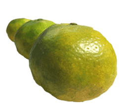 Surreal orange sticker #13539692