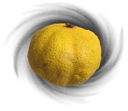 Surreal orange sticker #13539693