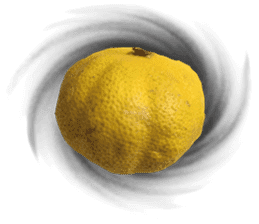 Surreal orange sticker #13539693