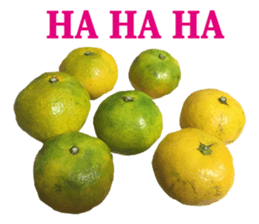 Surreal orange sticker #13539698