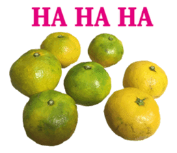 Surreal orange sticker #13539698