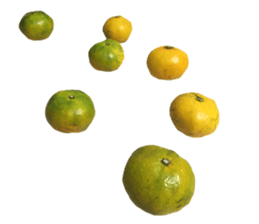 Surreal orange sticker #13539703