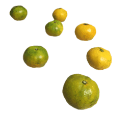 Surreal orange sticker #13539703