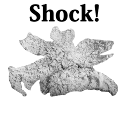 Surreal orange sticker #13539704