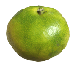 Surreal orange sticker #13539706