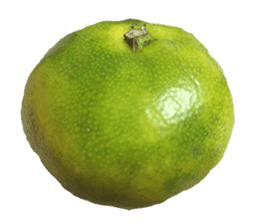 Surreal orange sticker #13539706