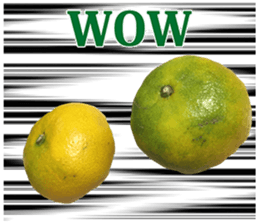 Surreal orange sticker #13539707