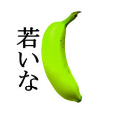 Bananana Talk sticker #13540399