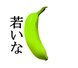 Bananana Talk sticker #13540399