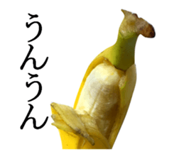 Bananana Talk sticker #13540406