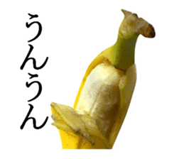 Bananana Talk sticker #13540406