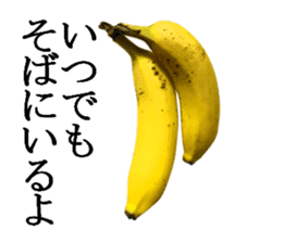 Bananana Talk sticker #13540409