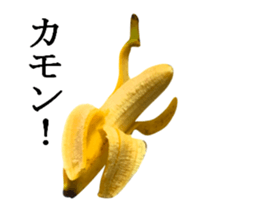 Bananana Talk sticker #13540426