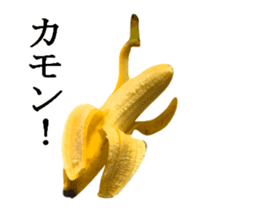 Bananana Talk sticker #13540426