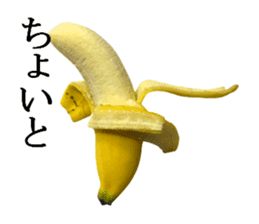 Bananana Talk sticker #13540434