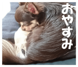 Realistic dog 1 sticker #13541311