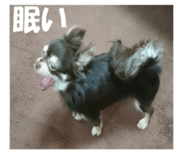 Realistic dog 1 sticker #13541312