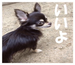 Realistic dog 1 sticker #13541315