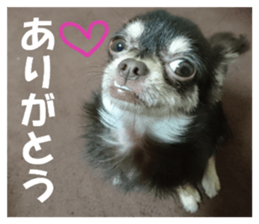 Realistic dog 1 sticker #13541317