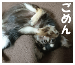 Realistic dog 1 sticker #13541318