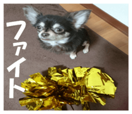 Realistic dog 1 sticker #13541319