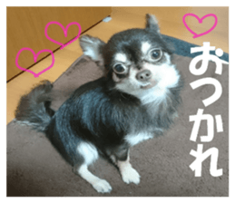 Realistic dog 1 sticker #13541320