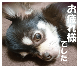 Realistic dog 1 sticker #13541321