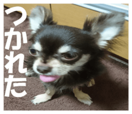 Realistic dog 1 sticker #13541322