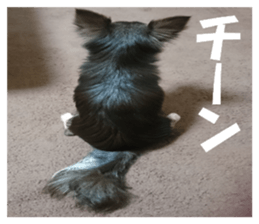 Realistic dog 1 sticker #13541323