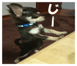 Realistic dog 1 sticker #13541325