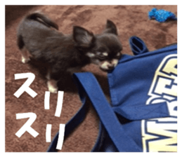 Realistic dog 1 sticker #13541326