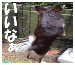 Realistic dog 1 sticker #13541329