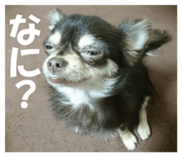 Realistic dog 1 sticker #13541330