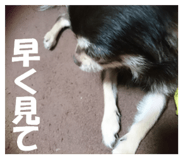 Realistic dog 1 sticker #13541331