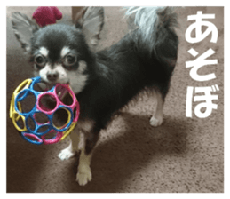 Realistic dog 1 sticker #13541332