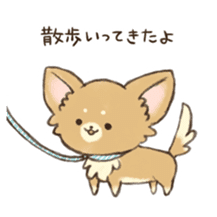 pet dog sticker sticker #13541524