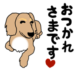 Miniature Dachshund COOKIE sticker #13541920