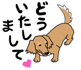 Miniature Dachshund COOKIE sticker #13541922