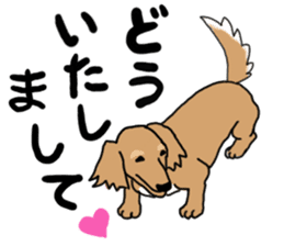 Miniature Dachshund COOKIE sticker #13541922