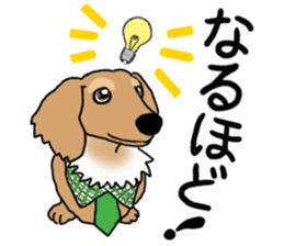 Miniature Dachshund COOKIE sticker #13541923