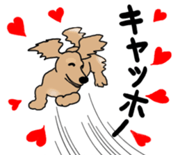 Miniature Dachshund COOKIE sticker #13541925