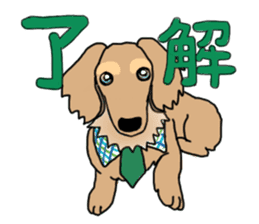 Miniature Dachshund COOKIE sticker #13541927