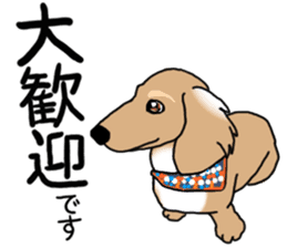 Miniature Dachshund COOKIE sticker #13541928